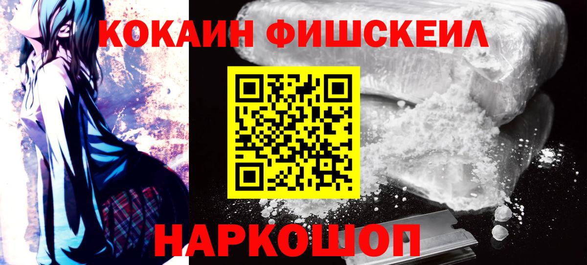 продажа наркотиков  Вход с VPN  Димитровград  Cocaine FishScale  Cocaine 