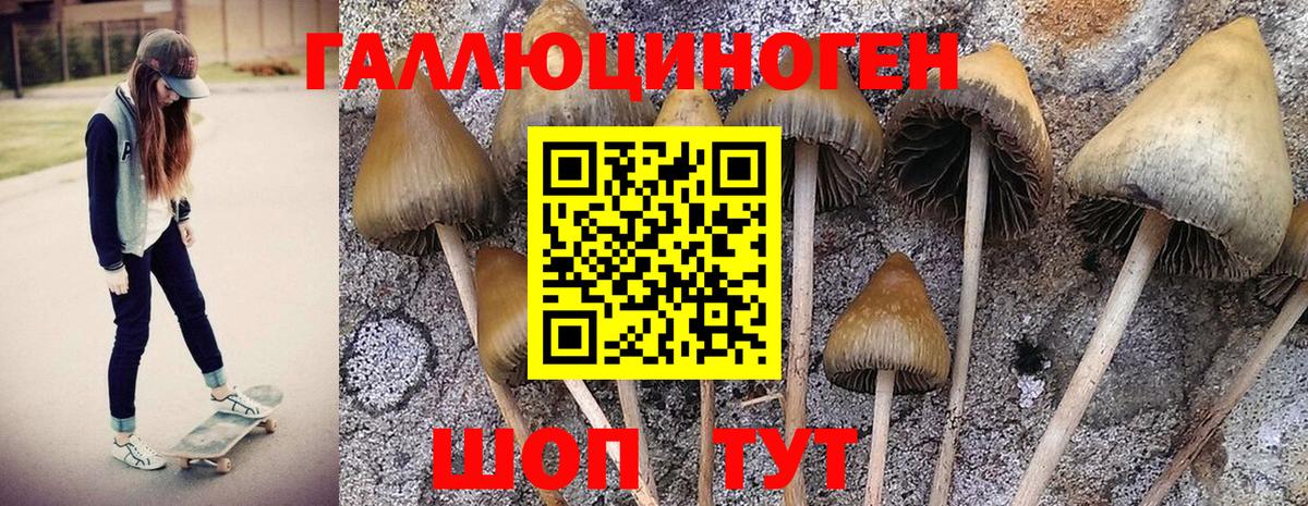 Псилоцибиновые грибы MAGIC MUSHROOMS Димитровград