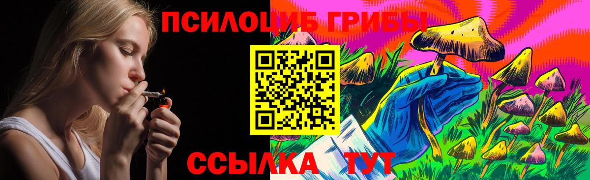 Псилоцибиновые грибы мухоморы  Вход с VPN  Димитровград  Псилоцибиновые грибы Psilocybe 